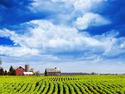 farm with blue skies